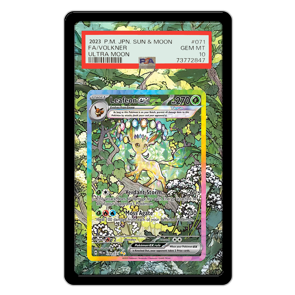 Pokemon Cards Display PTCG Lea – обзор и цена Display Case Acrylic