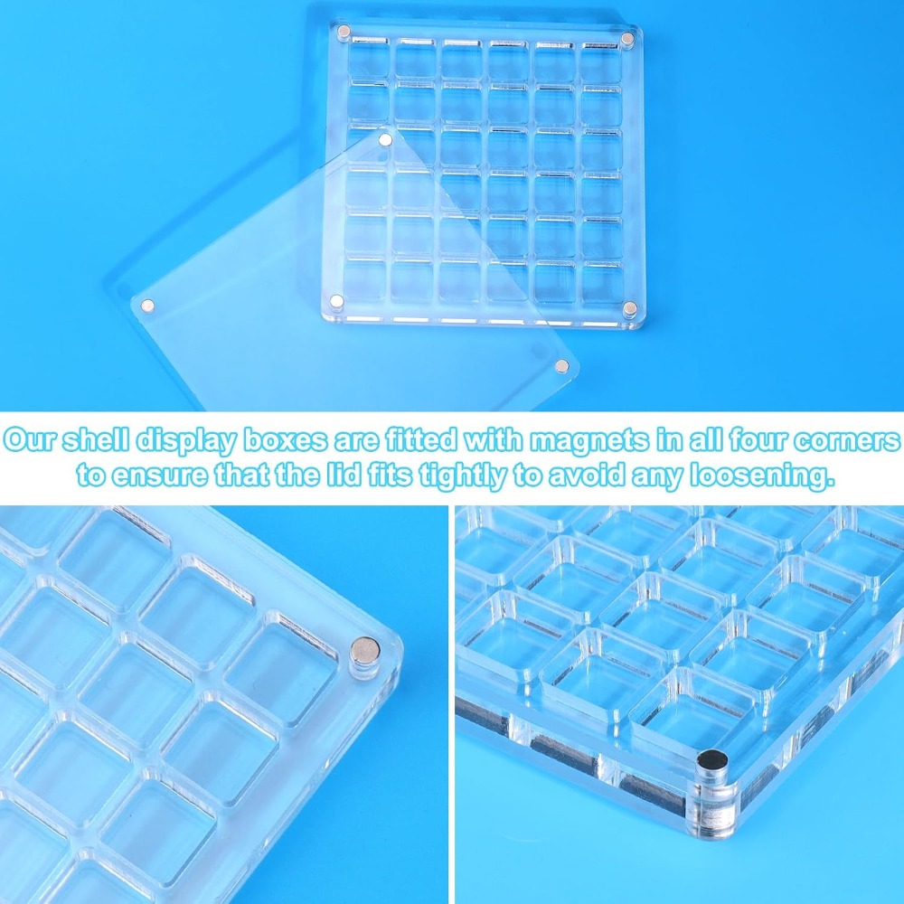 Clear Acrylic Magnetic Seashel – обзор и цена Display Case Acrylic